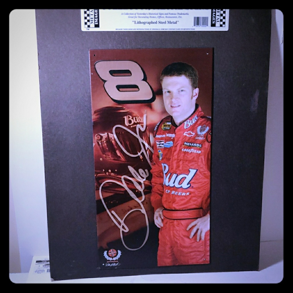 Dale Jr. Lithographed metal sign~ like new